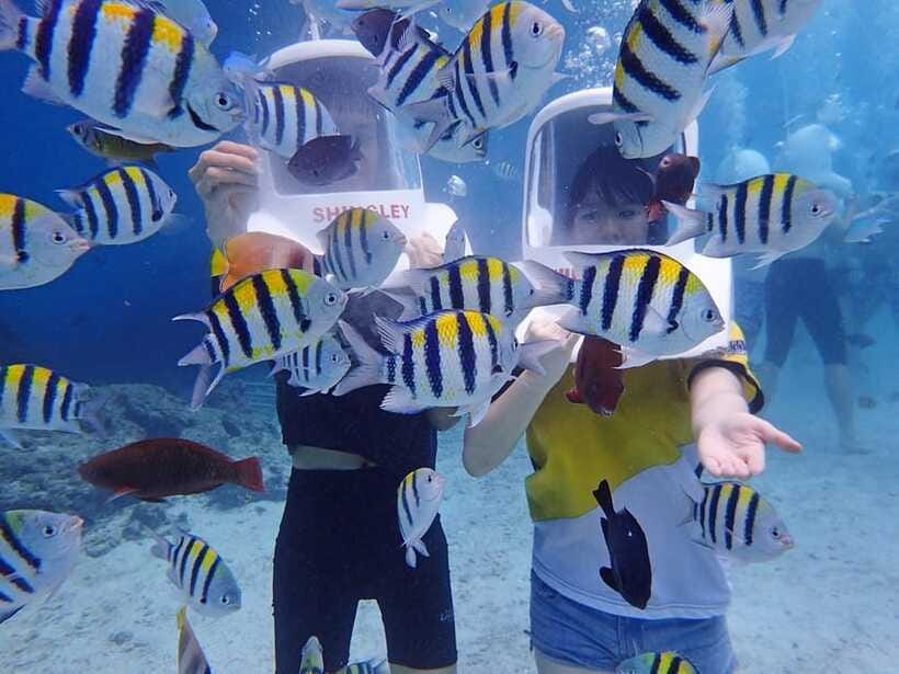 Boracay: Aquanaut Adventure with Photos and Videos - What $27 buys you in Boracay