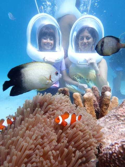 Boracay: Aquanaut Helmet Diving Experience - Fish, coral, and the close-up marine view