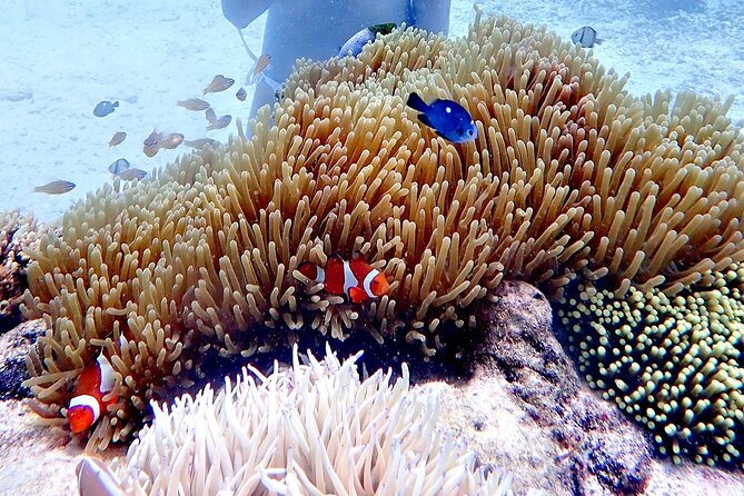 Boracay Helmet Diving - The five-minute briefing and getting comfortable