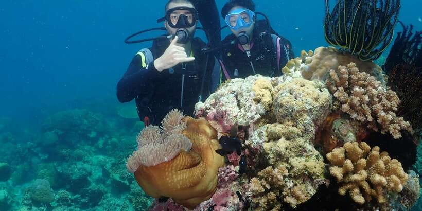 Boracay: Introduction to Scuba Diving Experience - What the guides do well