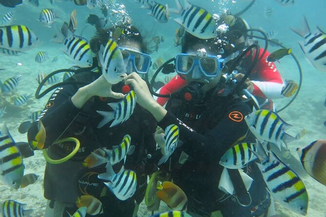 Boracay PADI Discover Scuba Diving - Learning the basics before leaving shore