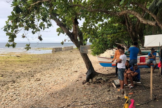 Budgeted Bohol Whale Shark - Timing, water time, and possible add-ons
