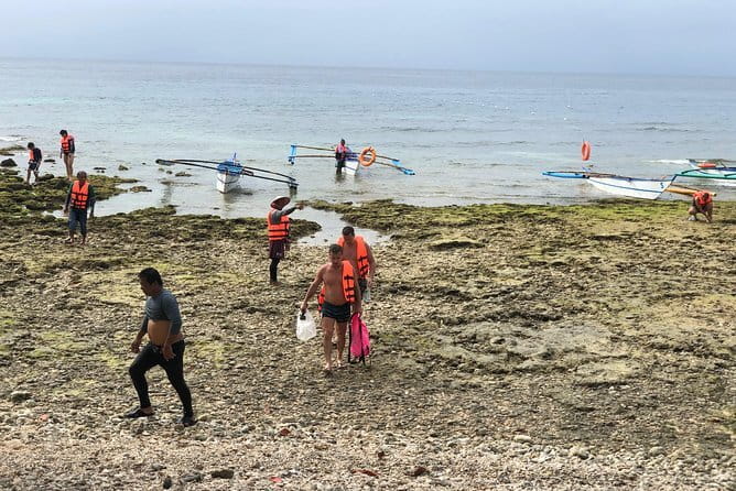 Budgeted Bohol Whale Shark - Who will get the most from this experience
