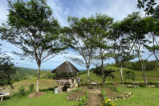 Can-umantad Falls and candijay rice terraces Eco Tour - Why eastern Bohol is worth the long outing