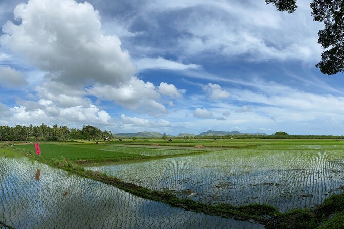 Can-umantad Falls and candijay rice terraces Eco Tour - Can-umantad Falls: the main reason to book