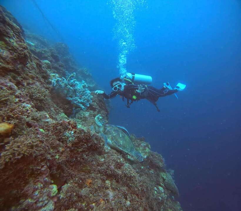 Cebu: Beach Scuba Diving Experience - About 45 minutes among sardines and fish