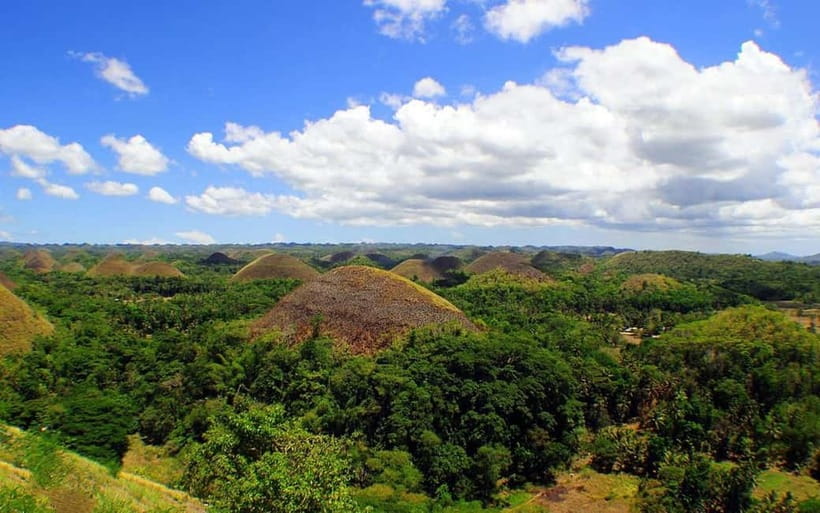 Cebu: Bohol Countryside and Loboc River Cruise Day Tour - Meeting Bohol’s small tarsiers