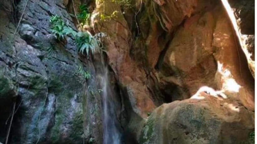 Cebu: Cave and Waterfalls Hike with Market Visit - Six things to know before you book
