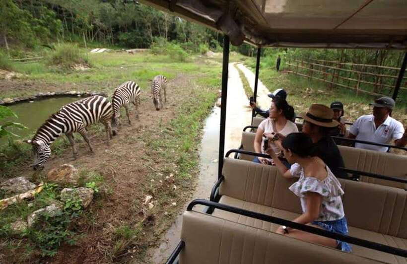 Cebu:Cebu Safari Adventure Park Day Trip - Show times that shape your visit