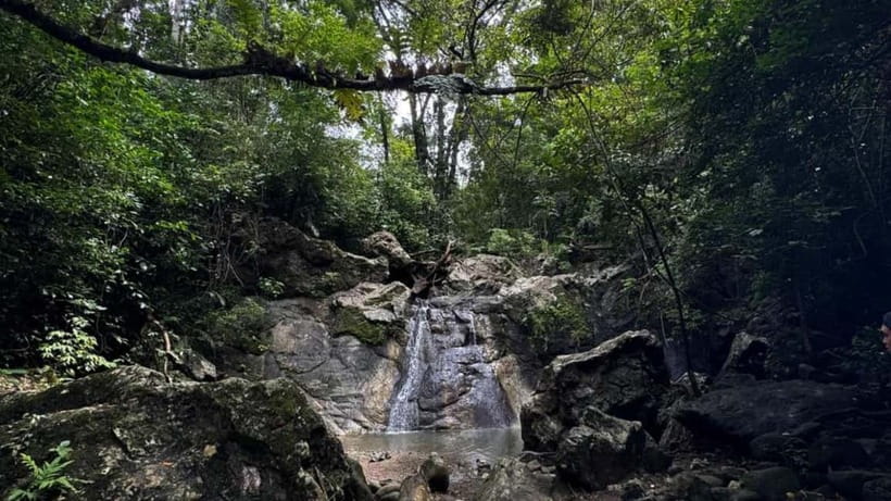 Cebu City: Guided Trekking Experience - Walking through the forest and beside the river