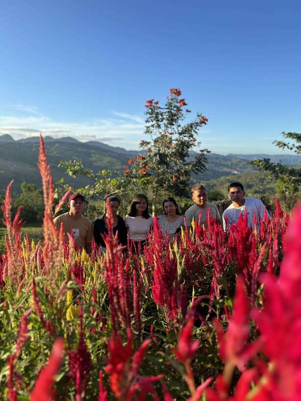 Cebu: City Highlights with Sirao Flower Garden Visit - Key points to know before booking