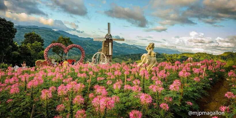Cebu City: Historical, Local Cuisine & Mountain Guided Tour - Transport and timing can make or break the experience