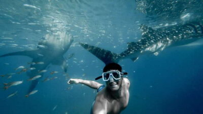 Cebu City: Whale Shark Swimming & Kawasan Falls Canyoneering - The early road to Oslob
