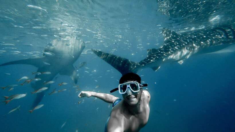 Cebu City: Whale Shark Swimming & Kawasan Falls Canyoneering - The early road to Oslob