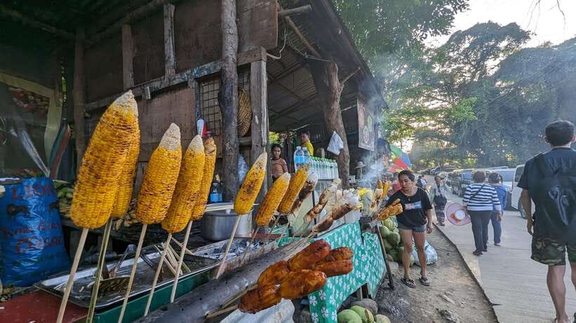 Cebu City with Sirao Garden Half Day Tour - Price, flexibility, and the final decision