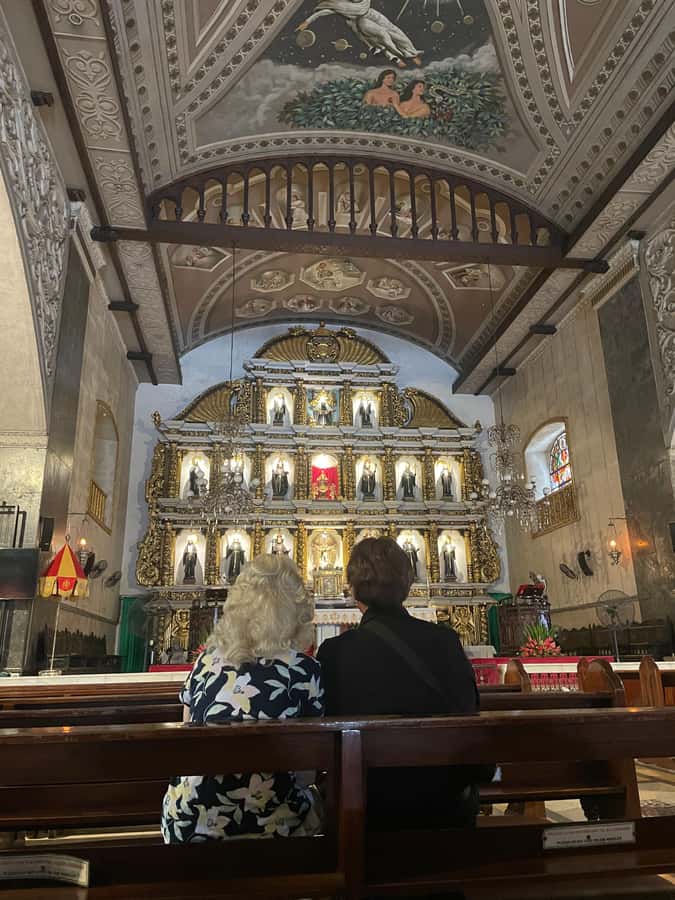 Cebu Day Tour with Pick-up, Drop-off and Lunch (Private) - Taoist Temple: Chinese influence in Cebu