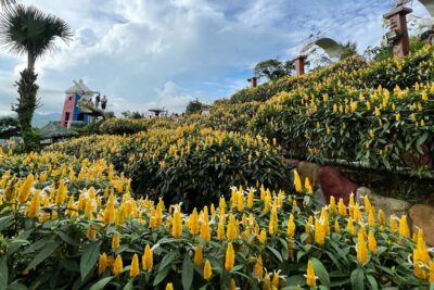 Cebu: Highlands Guided Tour w/ Hotel Pickup - Starting from Cebu IT Park or SM City Cebu