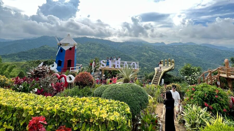 Cebu: Highlands Guided Tour w/ Hotel Pickup - Sirao Flower Garden and its celosia displays