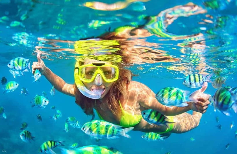Cebu: Island Hopping 3 Islands + San Vicente Fish + Lunch - Key points before you book