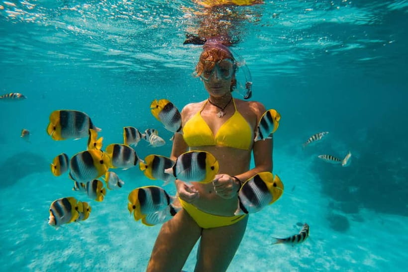 Cebu: Island Hopping 3 Islands + San Vicente Fish + Lunch - San Vicente Fish Sanctuary: the best first look underwater