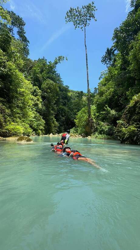 Cebu: Join Whale Shark Swimming & Kawasan Falls Canyoneering - Is this $111 Cebu adventure worth booking?