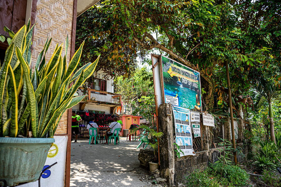 Cebu: Kawasan Canyoning, Moalboal Snorkeling, & Turtles Tour - What the $142 price really covers