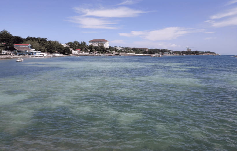 Cebu & Lapu-Lapu City Tour With Lunch at House of Lechon - The Yap-Sandiego Ancestral House