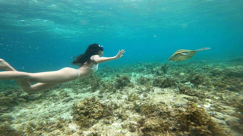 Cebu Moalboal Adventure Combo: Snorkel & Canyoneering +Lunch - Key points to know before booking