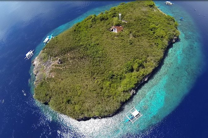 Cebu Moalboal Beach, Sardine Run, Sea Turtle Viewing + Canyoneering Tour - The 5 a.m. pickup and long road south