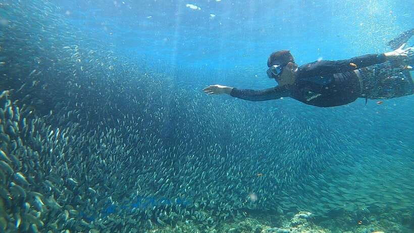 Cebu: Moalboal Island Hopping and Mantayupan Falls Day Trip - Lunch, coffee, and what you pay for