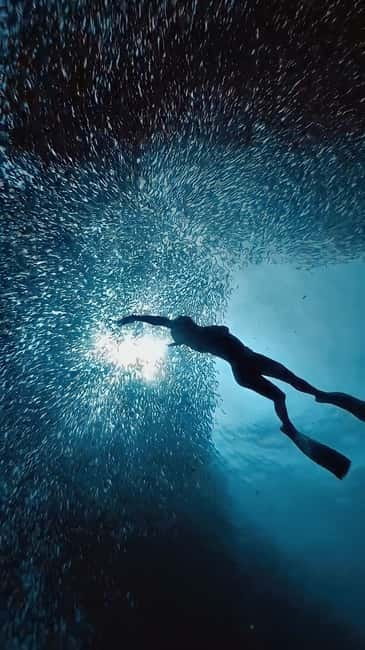 Cebu: Moalboal Sardine Run & Kawasan Falls Canyoneering - The 4:00 AM pickup and three-hour road journey