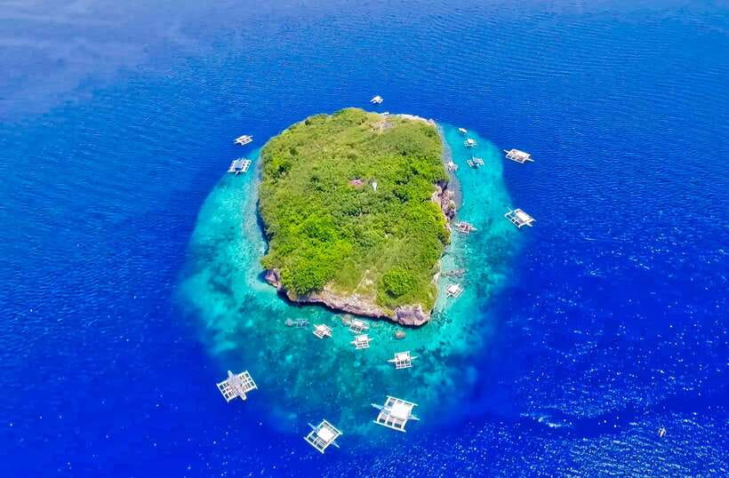 Cebu: Moalboal Sardines and Turtles Snorkeling Tour - Searching for turtles at Talisay Point