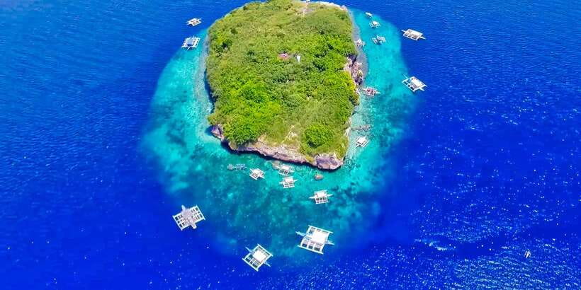 Cebu: Moalboal Sardines and Turtles Snorkeling Tour - A long Cebu road day, made easier by private transport