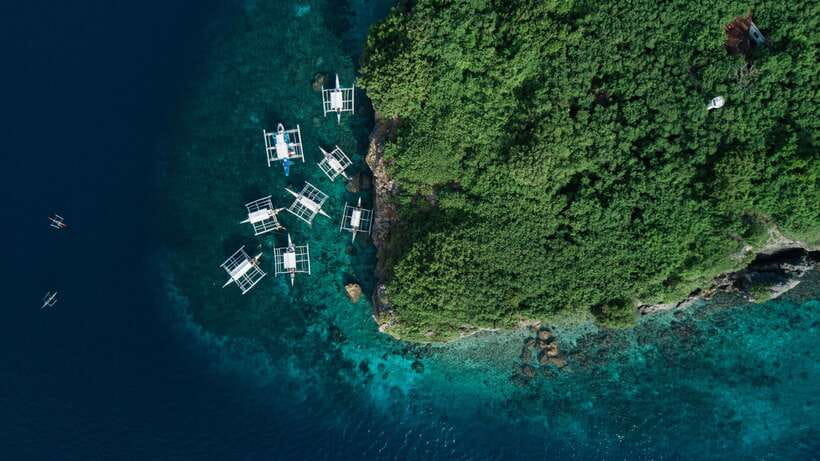 Cebu: Moalboal Sardines and Turtles Snorkeling Tour - What your guide and driver add to the day