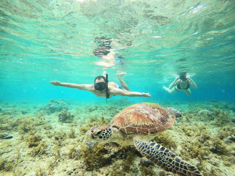 Cebu: Moalboal Sardines Run Snorkel & Kawasan Canyoneering - Key points to know before you book