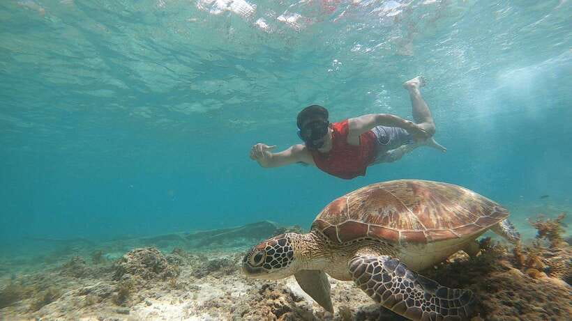 Cebu: Moalboal Sardines Run Snorkel & Kawasan Canyoneering - Should you book the sardine run and canyoneering tour?