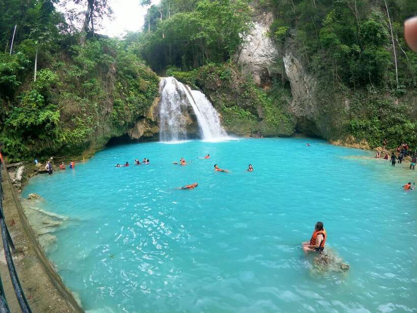 Cebu: Moalboal Sardines Run Snorkel & Kawasan Canyoneering - Moalboal’s sardines moving as one
