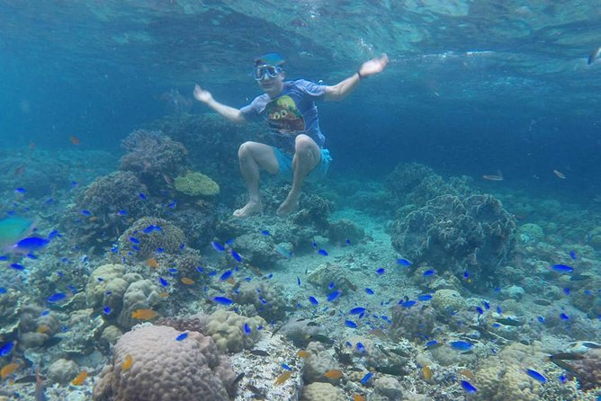 Cebu: Moalboal Sardines, Turtle Snorkeling & Kawasan Canyoneering - Why this South Cebu combination works