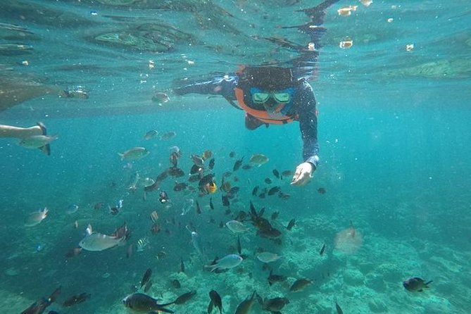 Cebu: Moalboal Sardines, Turtle Snorkeling & Kawasan Canyoneering - Panagsama Beach and the Moalboal sardine run