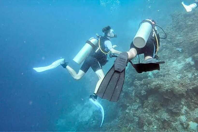 Cebu: Moalboal Scuba Diving, Sardines Run & Pescador Snorkel - Pescador Island brings coral and clear water