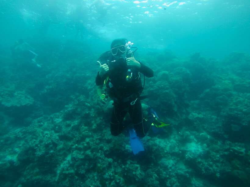 Cebu: Moalboal Scuba Diving with Sardines and Turtle Snorkel - How weather can change the plan