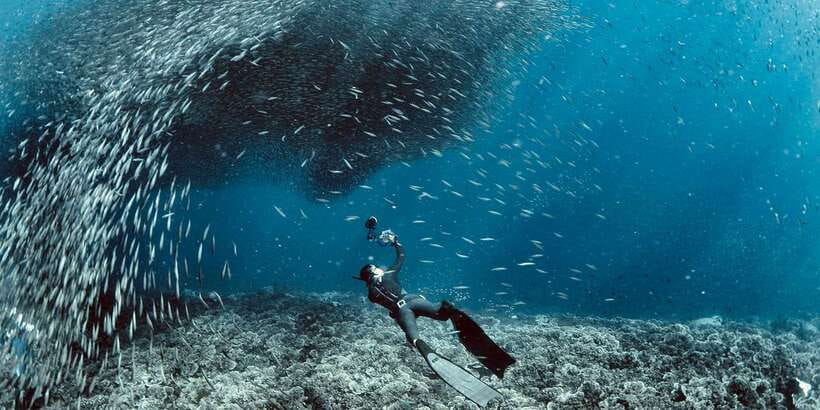 Cebu: Moalboal Scuba Diving with Sardines and Turtle Snorkel - Who will enjoy this day most