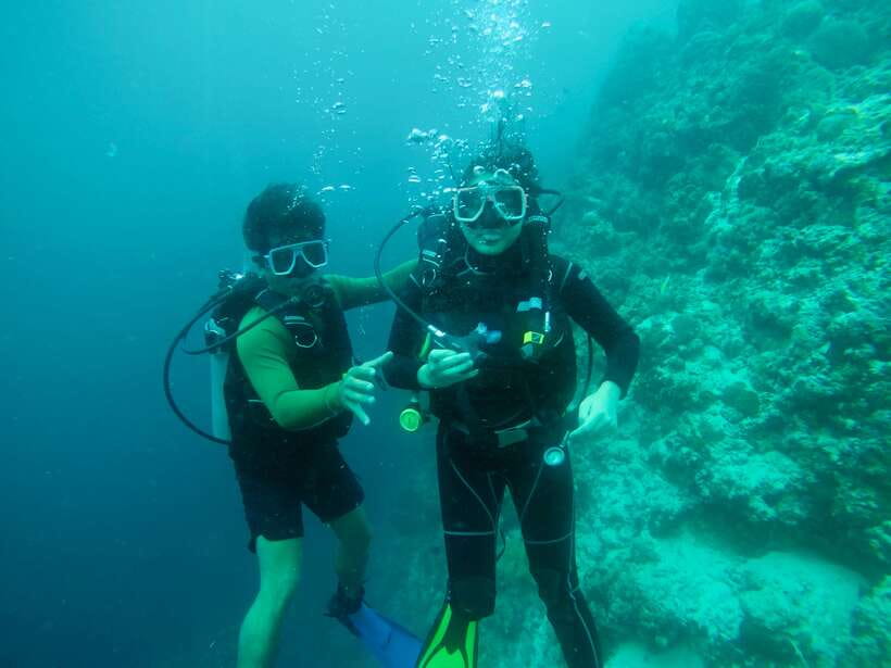 Cebu: Moalboal Scuba Diving with Sardines and Turtle Snorkel - The long road from Cebu to Panagsama Beach