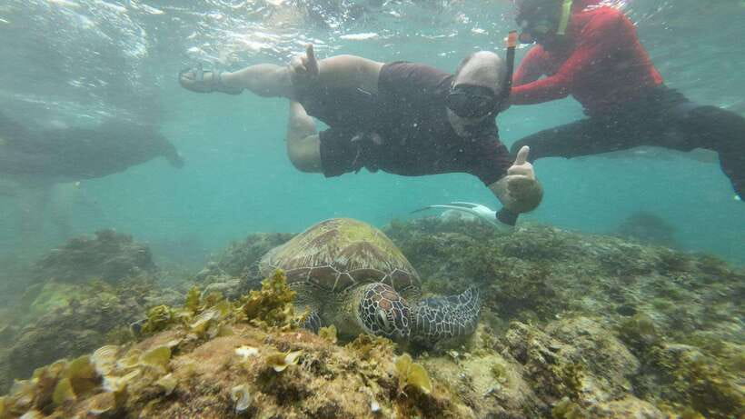 Cebu: Moalboal Snorkeling & Kawasan Canyoneering Adventure - Key points to know before booking