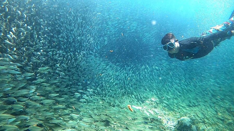 Cebu: Moalboal Snorkeling, Mantayupan Falls & ATV Adventure - Who should book this tour?