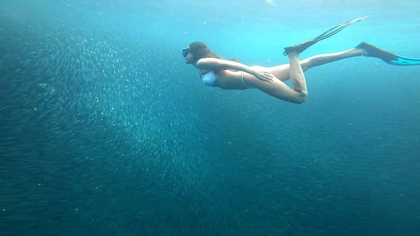 Cebu: Moalboal Snorkeling, Mantayupan Falls & ATV Adventure - Lunch in Carcar City