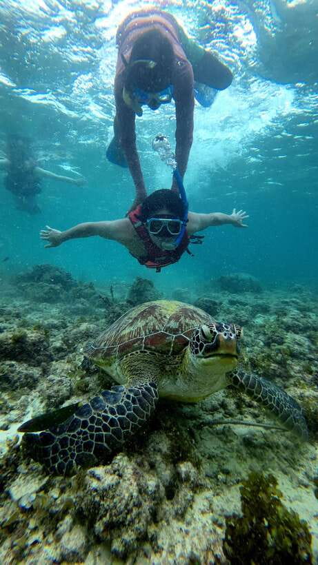 Cebu: Moalboal Snorkeling, Mantayupan Falls & ATV Adventure - Transport, pickup, and the value of $97