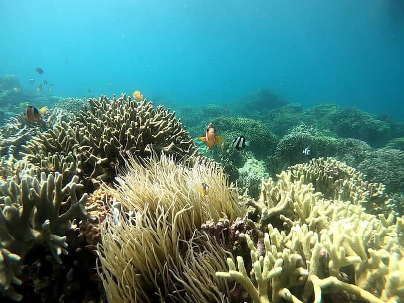 Cebu: Moalboal Snorkeling, Mantayupan Falls & ATV Adventure - What to bring for a wet and muddy day
