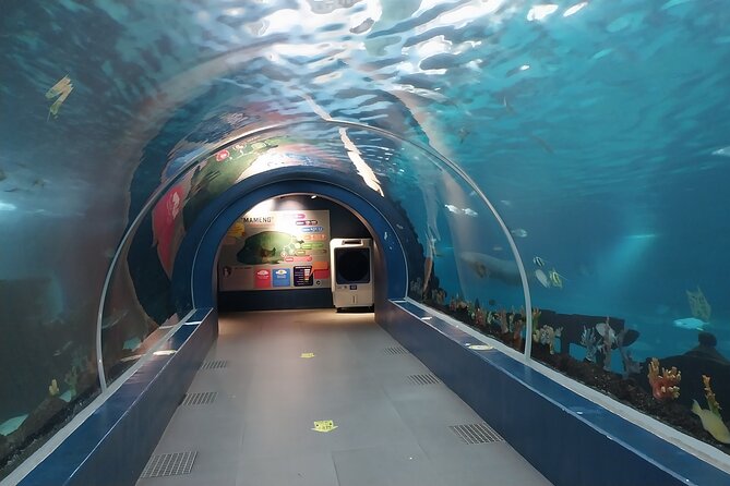 Cebu Ocean Park - Key Points Before You Go