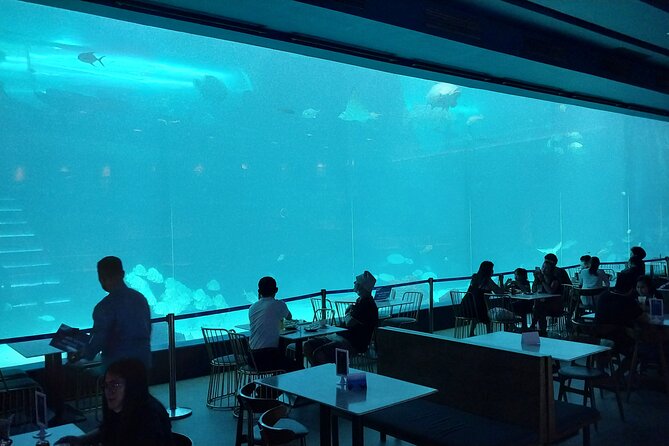 Cebu Ocean Park - Birds, Snakes, and a Welcome Change of Pace